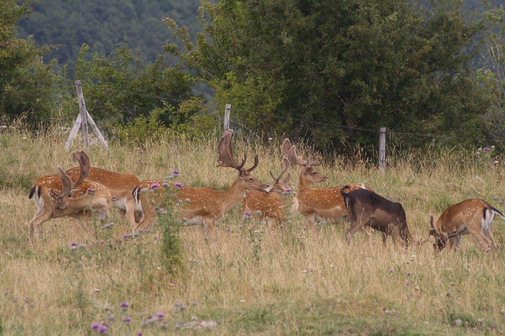 Fusoni,Balestroni e Palanconi: tutti insieme in relax